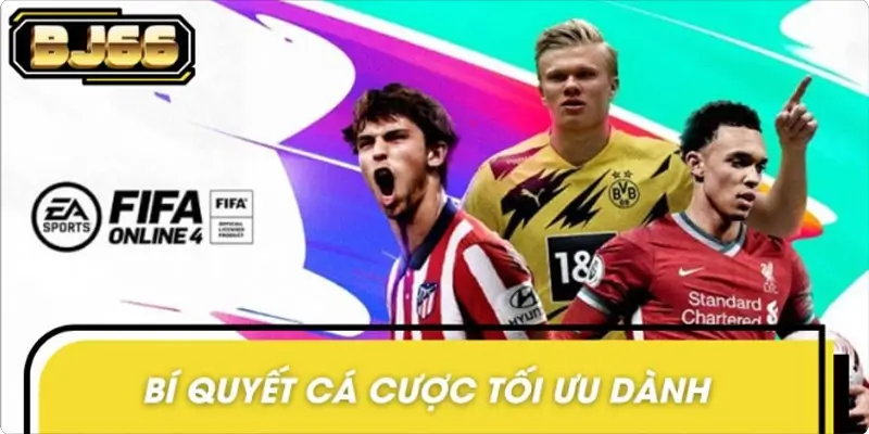 Bí quyết cá cược tối ưu dành cho người mới bắt đầu Bí quyết cá cược tối ưu dành cho người mới bắt đầu