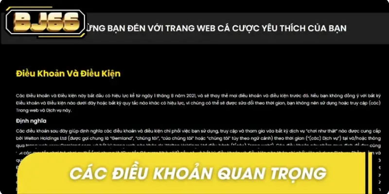 Các điều khoản điều kiện quan trọng trong quy định Các điều khoản điều kiện quan trọng trong quy định