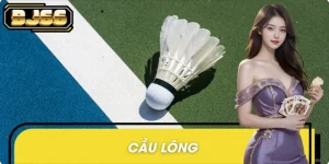 Cầu Long