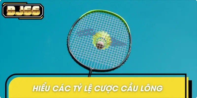 Đa dạng các tỷ lệ cược hấp dẫn tại trò chơi cầu lông