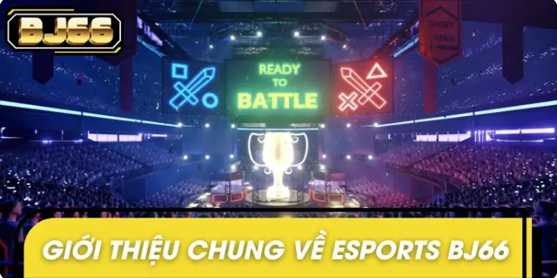 Giới thiệu chung về Esports BJ66 Giới thiệu chung về Esports BJ66