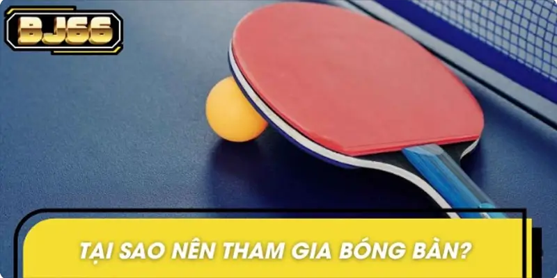 Lý do khiến bóng bàn trở thành lựa chọn cá cược hấp dẫn Lý do khiến bóng bàn trở thành lựa chọn cá cược hấp dẫn