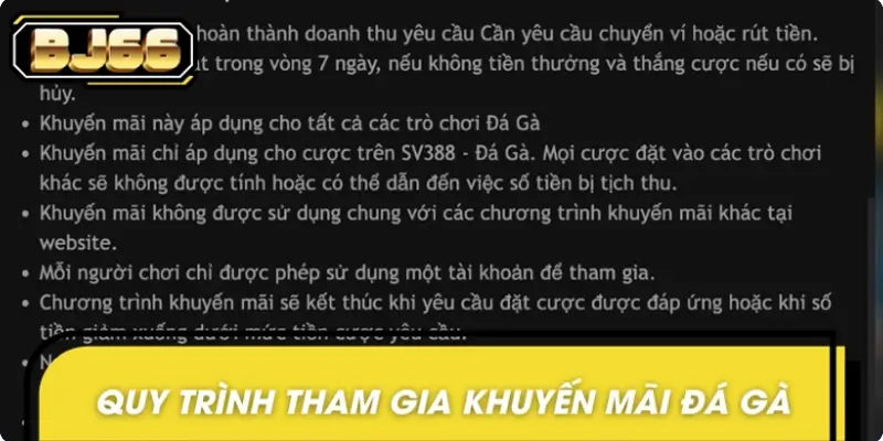 Quy trình chi tiết khi tham gia khuyến mãi đá gà