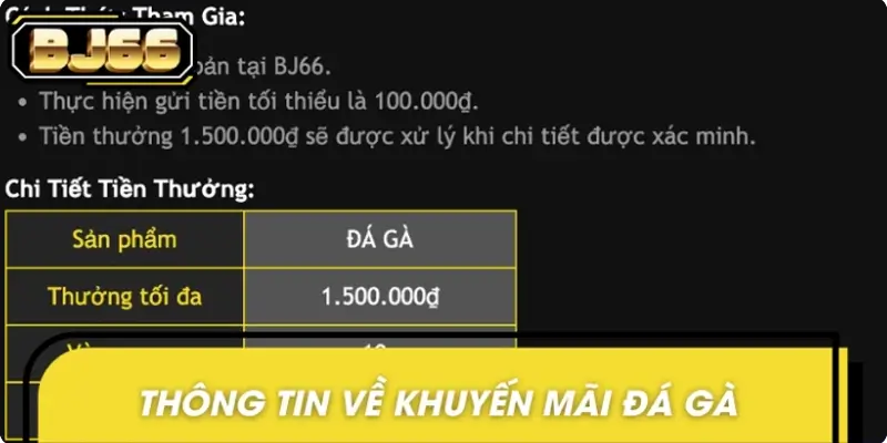 Thông tin nổi bật về khuyến mãi đá gà tặng 150%